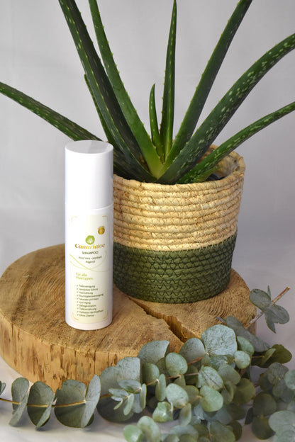 SHAMPOO ALOE VERA &amp; JOJOBA